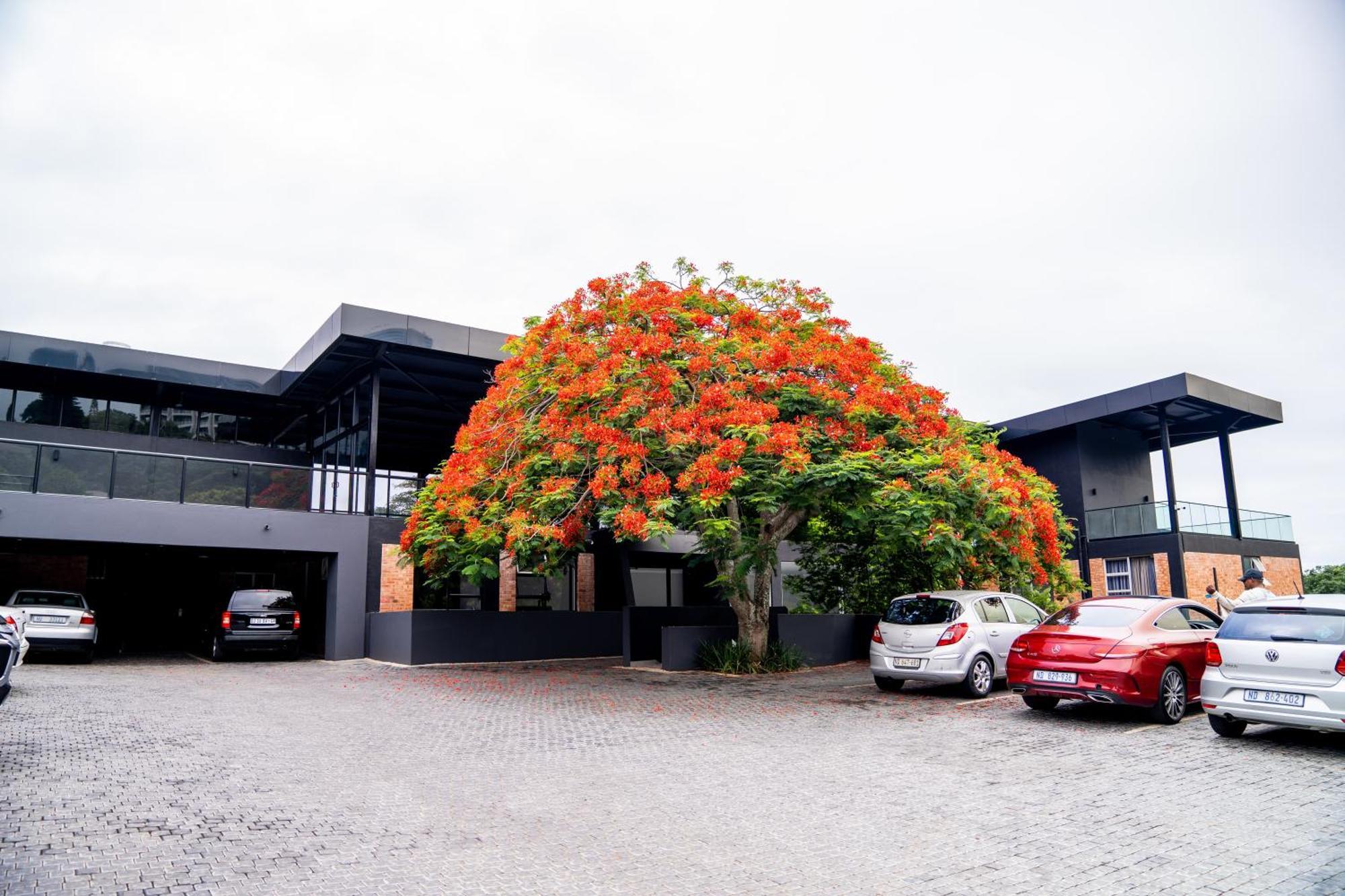 Zar Hotel Amanzimtoti Kültér fotó